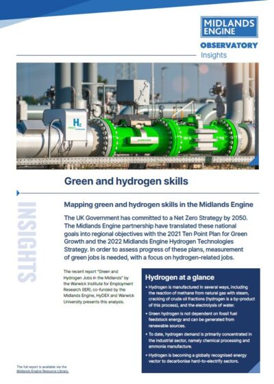 Green-Hydrogen-Skills-Insights-Report-Snapshot